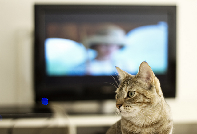 テレビ大好き人間を採用し続けるテレビ局はデジタル化する未来を生き残れるか？